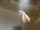 Ariana Grande - eternal sunshine deluxe: brighter days ahead [2 LP]