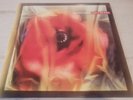 Love And Money - Dogs In The Traffic (Red Translucent Vinyl LP) Near Mint