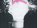 The Mystery Lights Purgatory (Vinyl)