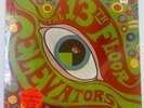 The 13th Floor Elevators 