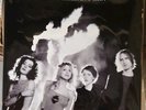 HOLE Celebrity Skin IVC Edition SEALED limited edition & numbered 180 Gram 2LP