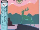 BIG COUNTRY WONDERLAND 12