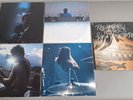RED HOT CHILI PEPPERS original Vinyl 4LP Live In Hyde Park (2004 Warner Germany)