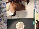 Bring Me The Horizon–Deluxe Box Set Vinyl Count Blessings, Suicide Season LPs