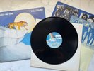 TYGERS OF PAN TANG 