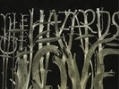The Decemberists The Hazards of Love (Vinyl) 12