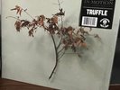 Copeland - In Motion (LP) (Mint (M)) - 3850514722