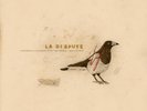 LA DISPUTE SOMEWHERE AT THE BOTTOM OF THE RIVER BETWEEN VEGA LP
