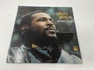 Marvin Gaye 