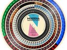 The Molotovs Wasted On Youth Zoetrope 12”LP Ltd. Ed. Mint/New