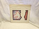 Spandau Ballet True Vinyl LP Record