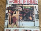 Vinyle 33t - The Cramps - Smell Of Female - US