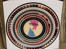 THE MOLOTOVS - Wasted On Youth - Zoetrope Vinyl - Blood Records /500 Low no. 69