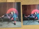 The Molotovs. - Wasted on Youth 12” Blue Vinyl plus SIGNED ARTWORK.  SEALED. NEW