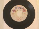Killer LA Country Bop Rockabilly Teen 45 HAPPY FATS My Little Lou Lou REB REBEL