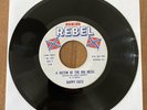 Happy Fats - A Victim Of The Big Mess 7” 45 RPM - Unplayed NOS - REB REBEL 510