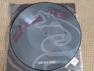 Metallica Sad But True Picture Disc