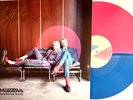 The Molotovs - Wasted on Youth - INDI ONLY COLOUR LP *Half Pink Half Blue Vinyl