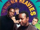The Brand New Heavies - The Brand New Heavies (LP) (Very Good Plus (VG+)) - 4027