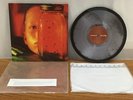 Alice In Chains Rare Jar Of Flies Clear Fly Vinyl Exclusive /150