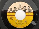 '59 Rockabilly Instro 45 RHYTHM ROCKERS Terock/The Slide GOLDEN CREST hear