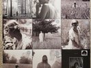 TAYLOR SWIFT Folklore - Full Set D2C Vinyl Variants w/RSD Long Pond Sessions NEW