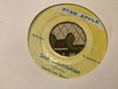 Family Man Barrett , Soul Constitution Cell Block 11 , 7”Star.