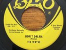 Ted Wayne 45 Please Don’t Dream Rock N Roll Soul Garage 7” NM Unplayed You GLO