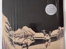 Weezer Pinkerton album vinyl: 1996 First Press