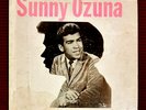 SUNNY AND THE SUNGLOWS 1966 SUPER RARE-SUNGLOW SLP-101  YES, THE FIRST  VG/VG