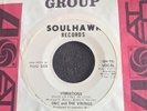 ERIC AND THE VIKINGS VIBRATIONS US SOULHAWK PROMO