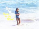 The Sha La Das Love in the Wind (Vinyl)