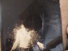Wolf Alice My love is cool - rare gold vinyl /1000