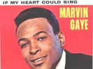 MARVIN GAYE--PICTURE SLEEVE + 45--(TRY IT BABY)--PS--PIC--SLV