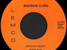 ANDREW CURD Spinning Dizzey 45 Lemco  1981 KY Modern Soul