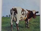 PINK FLOYD ATOM HEART MOTHER ODEON OP80102 Japan RED VINYL VINYL LP