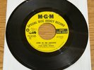 POP PSYCH 45 VAN DYKE PARKS COME TO THE SUNSHINE MGM K13570 DJ PROMO VG+