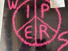 Wipers Live In 1984 Vintage Vinyl Record NM-