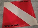 VINTAGE ORIGINAL VINYL RECORD VAN Halen Diver Down Vinyl BSK 3677