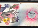 Apes Of The State ‎– Pipe Dream  Vinyl, LP, White/Pink Splatter