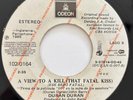 DURAN DURAN - A View To a Kill - ECUADOR PRESS 45