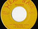 The Menerals Hot Night Down Texas Rare Acid Psych Garage Rock Heat Wave 45