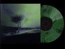 Joji Piss In The Wind First Edition Vinyl, 1/1500 Limited Edition Collectors