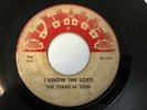 RARE Gospel Soul 45 - Stars of Zion 