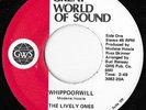 The Lively Ones Whippoorwill Rare Great World Of Sound Folk Psych Prog Rock 45