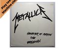 Metallica Harvester of Sorrow Live 12