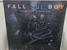 Fall Out Boy - Believers Never Die / Greatest Hits (2020) - 2 LP Vinyl
