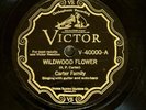 Carter Family - Victor V-40000 78 RPM “Wildwood Flower” Iconic Prewar Country
