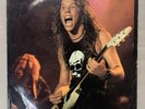 RARE Metallica 1986 Weed Killer and Sugar LP - Disc One Only Screaming Oiseau G+
