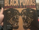 SOLD OUT VINYL ME PLEASE BLACK PUMAS CHRONICLES OF A DIAMOND GOLD & CREAM VINYL